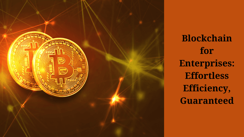 Blockchain for Enterprises: Effortless Efficiency, Guaranteed